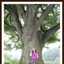 충북진천 연곡계곡(만뢰산)산행1 이미지