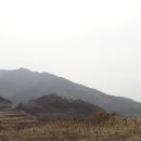 유구농협주유소 이미지