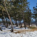 구산셀프주유소 이미지