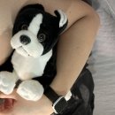 [부천] 신중동브라질리언 부천왁싱 다나왁싱앤뷰티 남자 겨드랑이 왁싱 후기