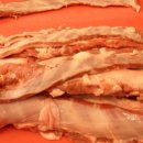 갈매기1호 이미지