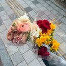 수원농협하나로마트영통점 | 망포 영통 하나로마트 꽃 가격 가성비 좋은 생화 구매