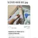 신박한마켓