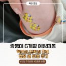서가약국 | 쌍둥이 6개월 예방접종 후기, 헥사심 펜탁심 차이와 열 반응 총정리