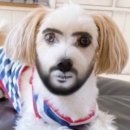 삼도미래2차경로당 | 도쿄 어학연수 D + 11 ~ D+ 21 : 에, 나 거지라던가 할 수 있는데.