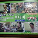 신창집 이미지