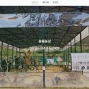 동화힐링캠프 이미지