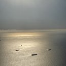 GS25 주례무지개점 | [국내/제주] 제주 4박 5일 여행 솔직 후기 4일차 :: 1100고지,아르떼뮤지엄,신비의도로(도깨비도로...