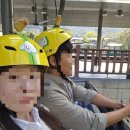미륵산자판기 | 통영 꿀잼 액티비티 추천, 스카이라인 루지 통영!