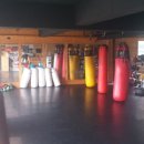 UFC 국제체육관 복싱,무에타이,주짓수,킥복싱,MMA 이미지