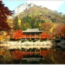 화랑포 충전소 이미지