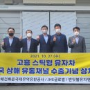 반딧불 프리미엄 이미지