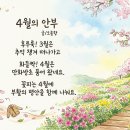 [시와 감상] 4월의 안부-오솔향 이미지