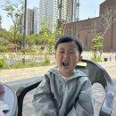 노리들노리쌤DMC 이미지