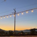 아이조아안경 이미지