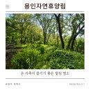 용인자연휴양림 | [국내 여행] 용인자연휴양림 방문 후기 및 꿀팁 공유!