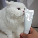 반려동물과함께하는#설렘 | 반려동물과 함께하는 무향 고보습 핸드크림 피아 후기