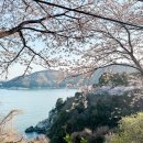 장승포해안로 이미지