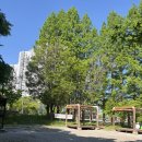 숲길발길 | 광주)첨단 러닝코스 추천 광주 시민의숲 🌳 여름 달리기 좋은 숲길 힐링 산책러닝 후기