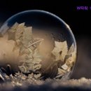 타워고시원