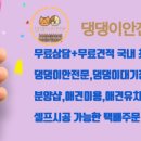 빵실하개 이미지