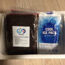 케이포닉스 이미지