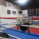 히트 복싱 클럽 이미지