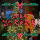 성혜기획 | 2024 성수트리 핫플 / 2024년 11월 기준