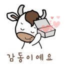 온앤오프플레이어