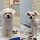 오송프렌즈샵