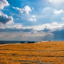 설화목장 이미지