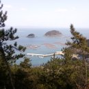 동고리