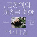 정원로 | 고양이와 까치를 위한 티타임