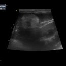 24시 위너스동물의료센터 이미지