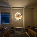 스파피닉스 이미지