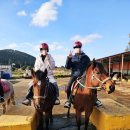 뷰 제주하늘 | 유일한 오름코스 승마장 <뷰 제주하늘> 내돈내산 솔직 추천 후기