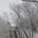 131130 서리꽃과 함께....... 치악의 비로봉 겨울 산행 이미지