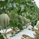 농업기술센터 6차산업관 이미지