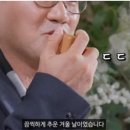 영식축사 이미지