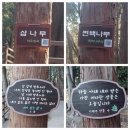 숲속에는 이미지