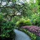 해님약국 이미지