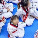 국가대표 강철태권도장 이미지