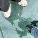 초원목장2 이미지