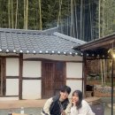 들꽃커피맥주 | 부여 한옥 독채 펜션 추천, 촌캉스하기 좋은 들꽃 대나무
