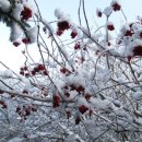 남양건설주식회사 이미지