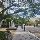 부동산박사 공인중개사사무소 이미지