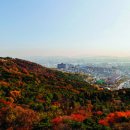 남산 이미지