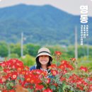 충북 가볼만한곳 6월 여행지 영동 봄꽃구경 추풍령역급수탑공원 장미정원 파크골프장 기차박물관