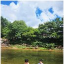 자연속으로 나를 찾아서 이미지