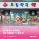 서울드림약국 이미지